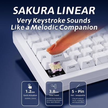 White Spider Wireless Mechanical Keyboard