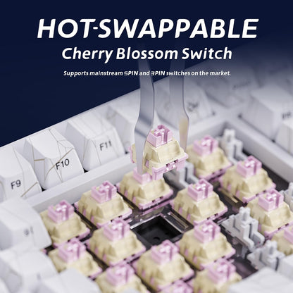 White Spider Wireless Mechanical Keyboard